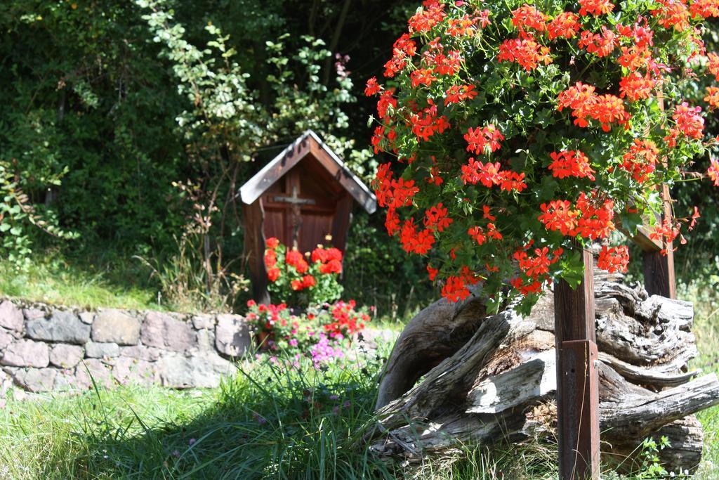 Ferienbauernhof Masunerhof Fie allo Sciliar Ngoại thất bức ảnh